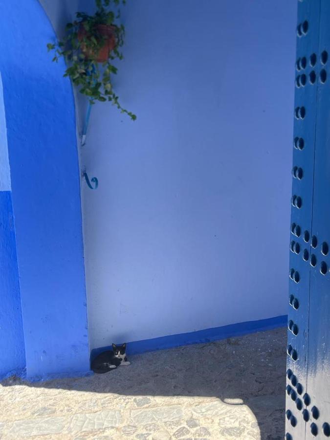 Coco Chawen Villa Chefchaouen Exteriör bild